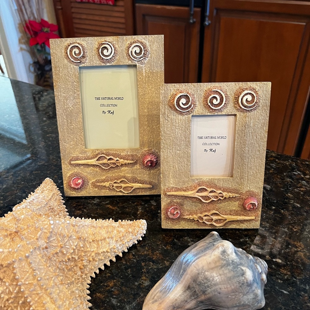 NEW Dimensional Seashell Picture Frames-Set of 2 by Raj